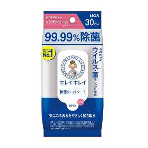 LION獅王 趣淨 超強清潔濕巾 30片