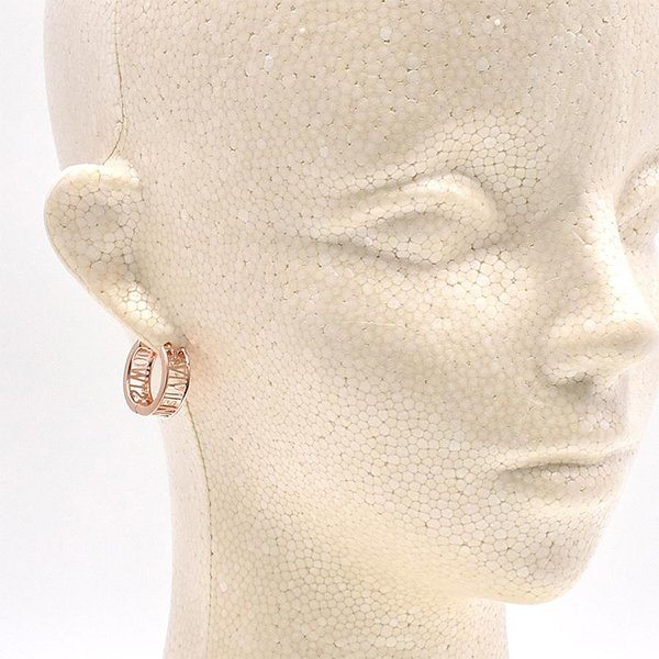 Vivienne Westwood WESTMINSTER earrings 62030046/G002 rose gold 1