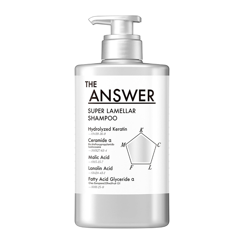 KAO The Answer Moisturizing, Shiny, and Smooth Multi-Penetration
