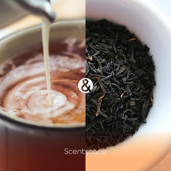 Japanese Scentscape series indoor incense sticks Milk Tea 30