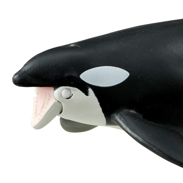 水生動物モデルコレクション アクアランド シリーズシャチ親子 アニア AL‐08 シャチ親子（水に浮く-驚安の殿堂
