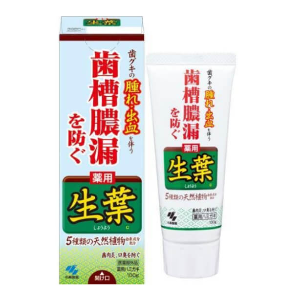 小林制藥預防齒槽膿漏 護理牙膏 香草薄荷味 100g