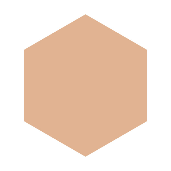 SHISEIDO INTEGRATE Pro Finish Foundation Ochre 30 (Refill)-DONKI